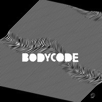 Bodycode - The Conservation of Electric Charge