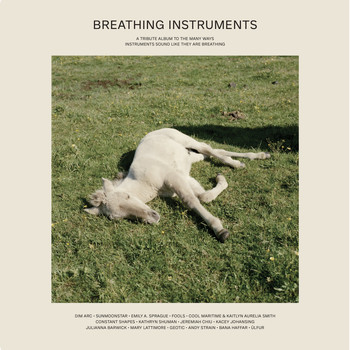 Various Artists - Breathing Instruments