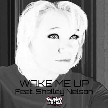 Various Artists - Wake Me up feat. Shelley Nelson