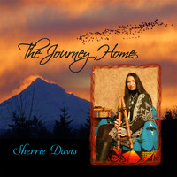 Sherrie Davis - The Journey Home