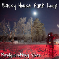 Purely Soothing Vibes - Bassy House Funk Loop