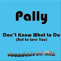 Pally - Don't Know What to Do (But to Love You) [Soundcheck Mix]