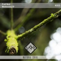 Prad Beat - Wensday EP