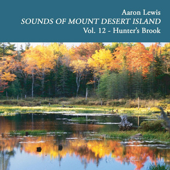 Aaron Lewis - Sounds of Mount Desert Island, Vol. 12: Hunters Brook