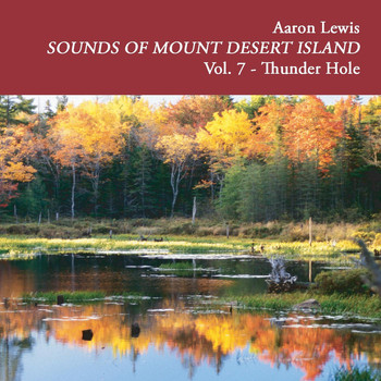 Aaron Lewis - Sounds of Mount Desert Island, Vol. 7: Thunder Hole