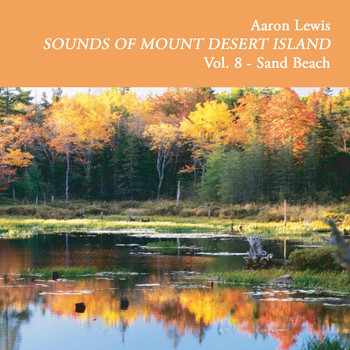 Aaron Lewis - Sounds of Mount Desert Island, Vol. 8: Sand Beach