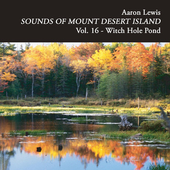 Aaron Lewis - Sounds of Mount Desert Island, Vol. 16: Witch Hole Pond