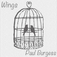 Paul Burgess - Wings