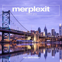 Merplexit - Need You