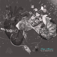 Luminus - Viaje Marino