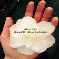 Alicia Dara - Guided Breathing Meditation (Explicit)