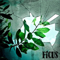 Ficus - Uno Mas Detras del Vidrio