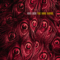 Kid Loco / - The Rare Birds