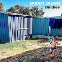 Buddy Dingo - Bindies