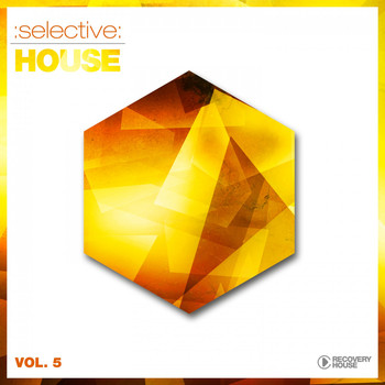 Various Artists - Selective: House, Vol. 5