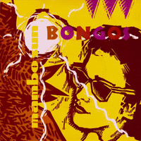 The Bongos - Mambo Sun