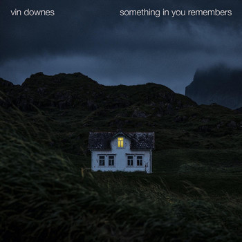 Vin Downes - Something in You Remembers