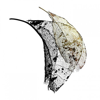 Max Cooper - Reflect