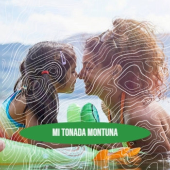 Various Artists - Mi Tonada Montuna