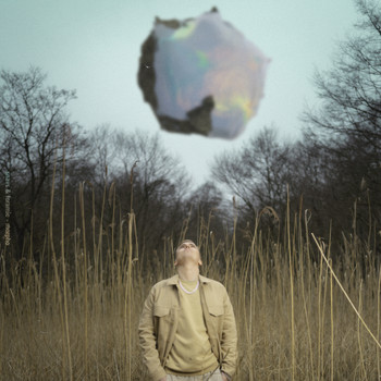Snavs, Foramic - Morpho
