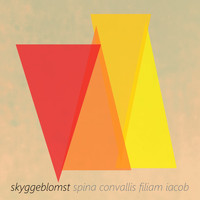 Skyggeblomst - Spina Convallis Filiam Iacob