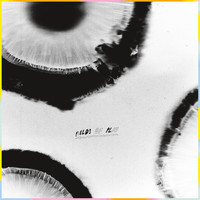 Anatta - Fields of Play