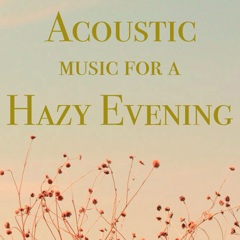 Various Artists - Acoustic Music for a Hazy Evening