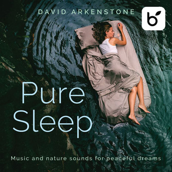 David Arkenstone - Pure Sleep: Music And Nature Sounds For Peaceful Dreams