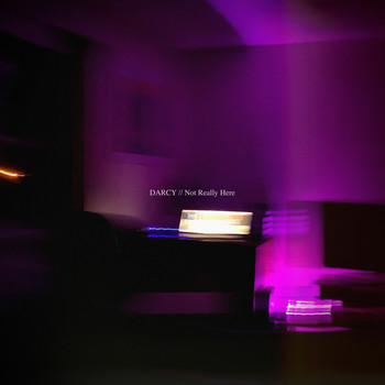 Darcy - Not Really Here