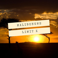 Limit X - Malibongwe