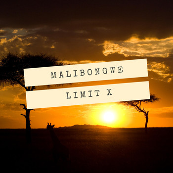 Limit X - Malibongwe