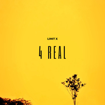 Limit X - 4 Real