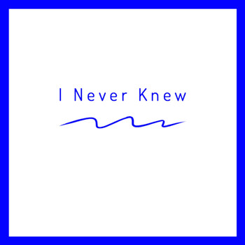 Marcus H Mitchell - I Never Knew