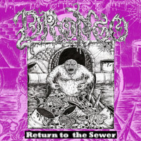 Drongo - Return to the Sewer