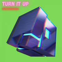 GreenMamba - Turn it Up