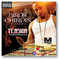 Tension - Birds Chirpin', Vol. 2 (Explicit)