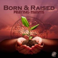 Praying-Mantis - Born & Raised