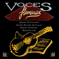 Miguel Poveda - Voces Flamencas en Badalona