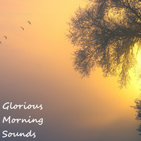 Nature Sounds ASMR - Glorious Morning Sounds