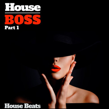 Various Artists - House Boss, Pt. 1 (House Beats)
