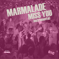 Marmalade - Miss You (Instrumental)