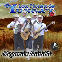 LOS FLORES DE YUNGAY - Megamix Bailable