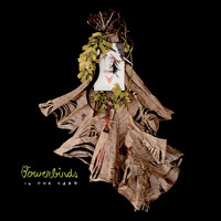 Bowerbirds - In the Yard b/w Always an Ear To Bend