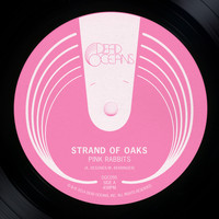 Strand of Oaks - Pink Rabbits b/w Plymouth (acoustic)