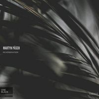 Martyn Päsch - Reverberation