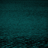 TAIGA - The Meson Field