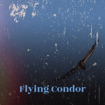 Various Artists - Flying Condor