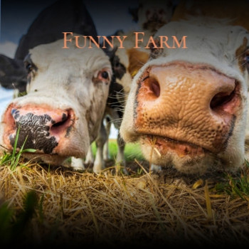 Various Artists - Funny Farm