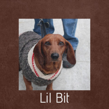 Various Artists - Lil Bit