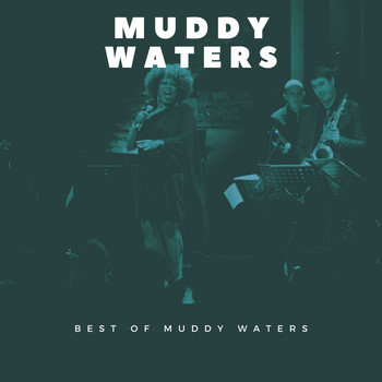 Muddy Waters - Best of Muddy Waters